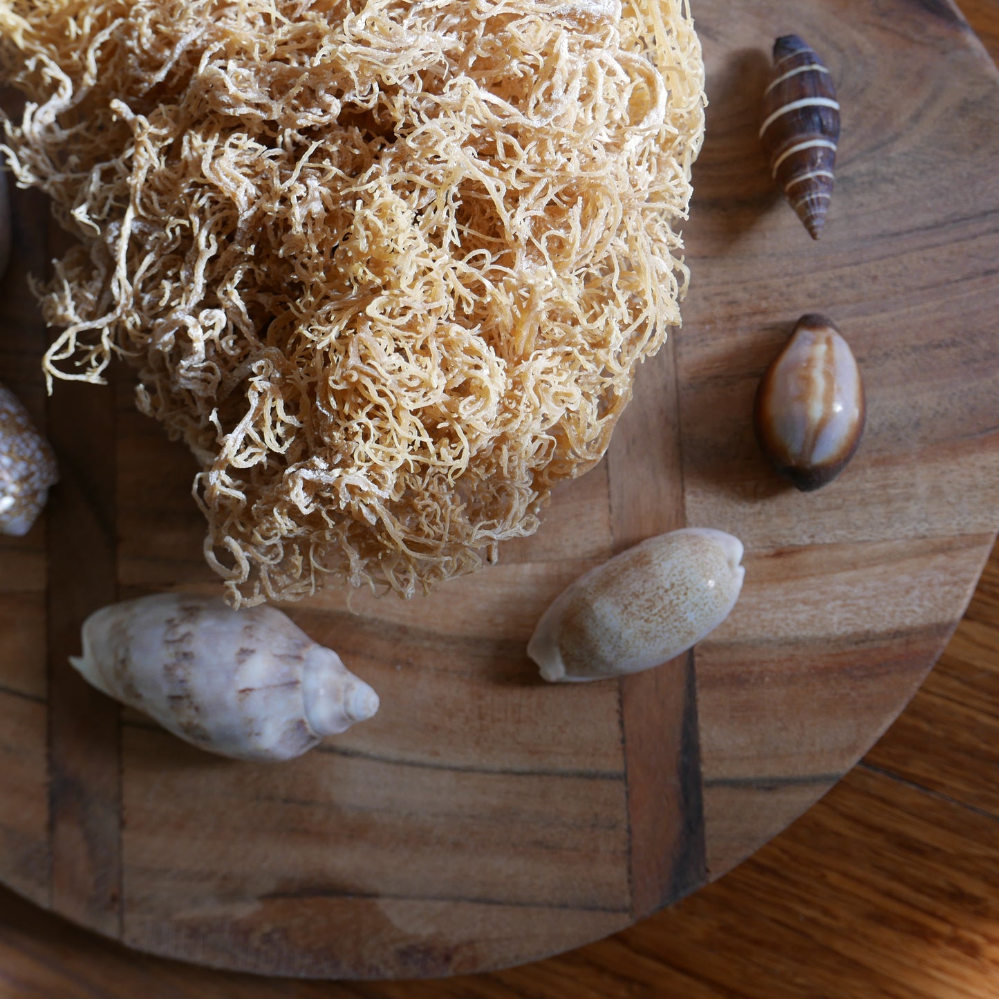 Irish Sea Moss