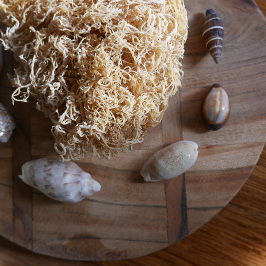 Irish Sea Moss